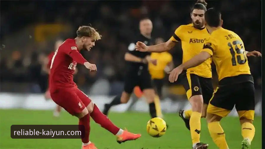 从狼队vs利物浦的足总杯激战，解锁体育观赛的实用技巧